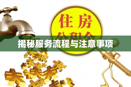 东区揭秘服务流程与注意事项