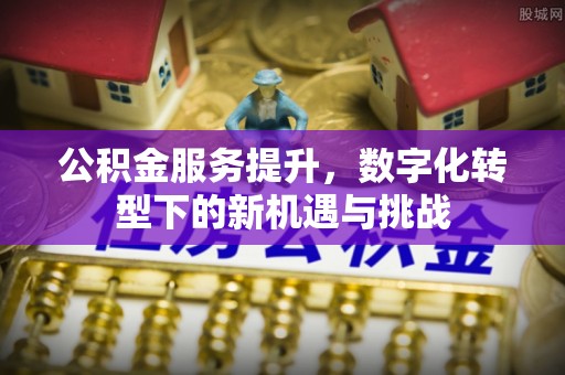 东区公积金服务提升，数字化转型下的新机遇与挑战