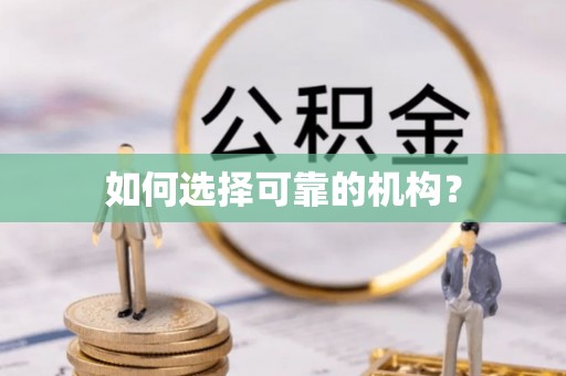 东区如何选择可靠的机构？