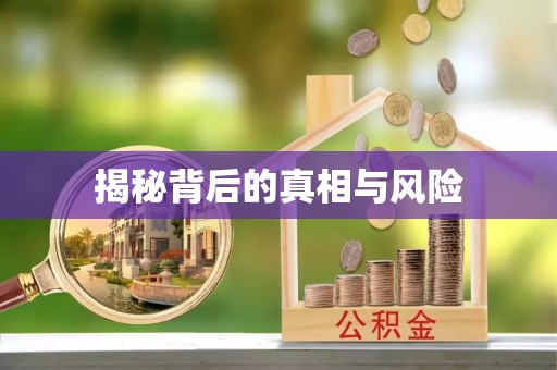 东区揭秘背后的真相与风险