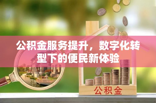 东区公积金服务提升，数字化转型下的便民新体验