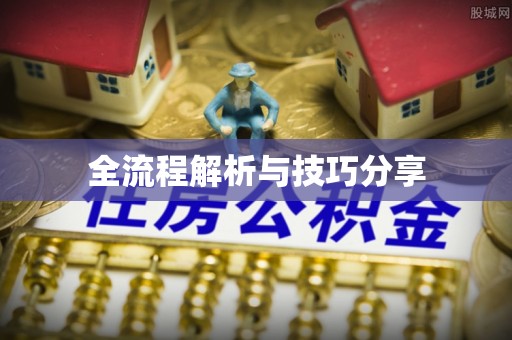 东区全流程解析与技巧分享