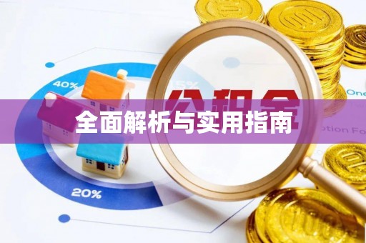 东区全面解析与实用指南
